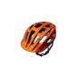 Bicycle Helmet Carrera Edge - A little extravagance complacent?