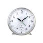 TFA Dostmann 60.1506 radio-alarm clock (household goods)