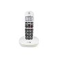 Doro Phone Easy 110 fixed wireless phone White (Accessory)