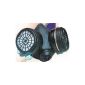 Professional Half mask respirator with filters A1, gas mask, dust mask respirator (tool)