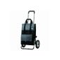 Shopping Trolley Royal vector with oversized tires and thermal compartment (luggage)