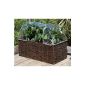 Campion - Burgon & Ball / Greenhouse raised bed / foil cover 70x35 cm