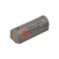 Original Carat Electronics Lithium Ion Replacement Battery NB-9L, inter alia, to match Canon IXUS 1100HS, 500HS, 510HS (Accessories)