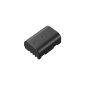 Panasonic - Lumix G - DMW-BLF19E - Battery for GH3 (Accessory)