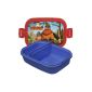 Great lunch box - stable and colorful
