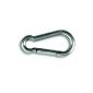 Chapuis POI5 Carabiner stainless firefighter 100 kg Diameter 5 mm Length 50 mm (Tools & Accessories)