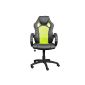 Premium sports seat executive chair Office chair Racer black / light green 59809 (Home)