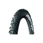 Michelin MTB tire Wild Grip'R Advanced (gear)