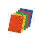 Herlitz 10902872 Eckspanner A4 ColorSpan, assorted colors, 5 Pack (Office supplies & stationery)