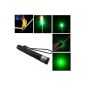 Nice Shop (TM) Green Beam Laser Pointer Laser Pointer Pen heat reserving shell laser flashlight for presentations, or as Aid Stargazing Toys (Misc.)
