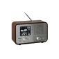 Clip Sonic RA1045 vintage clock radio AM / FM weather station AUX