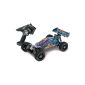 Carson 500409006: 1 - 8 CY-E Specter Two Brushless 6S Pro 2.4GHz Remote Control (Toys)