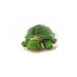 Sweet, cuddly turtle