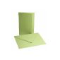 Folding Cards with Envelope B6 light green (Office supplies & stationery)