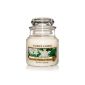Yankee Candle (Candle) - Sparkling Snow - Small Jar (Health and Beauty)