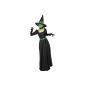 Witch Costume Costume Green Witch for Damenkostüm Halloween Ladies Costume Halloween Costume (Textiles)
