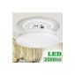 LE 24W hole diameter 41cm LED ceiling lights, replace 180W incandescent bulbs (50W fluorescent tubes), 2000lm, Cool White, 6000K, 120 ° viewing angle, LED ceiling lights, ceiling lights in the living room, bedroom, dining room
