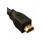 World of Data® 10m HDMI cable v1.4 with Ethernet - professional quality - 3D 4K x 2K resolution (Full HD and beyond) - v1.4 (latest) - Audio & Video 24k gold - plated Type A Male Type A Male - 10.0 m (Electronics)