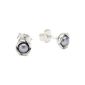 Pandora Women's Earrings Sterling Silver 925 29157GP (jewelry)