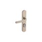 Calfskin - Set of 2 handles of security door SECUMAX-color aluminum silver - double Fonction.Béquille - Finition.Champagne - (Miscellaneous)