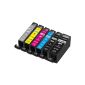 6 Moreinks® quality compatible ink cartridge replaces Canon CLI-526 / PGI-525 for Pixma IP4850 MG6150 MG8150 MG6220 MG6250 MX885 iP4950 MG8220 MG8250 MG8120 MG5120 MG6100 iP4840 - Cyan / Magenta / Yellow / Black / Grey With Chip (Office Supplies )