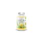 Garcinia Cambogia Nutravita pure / concentrated formula - natural fat burner, supports weight loss and help control appetite - 100% pure - vegetable - concentrated formula - Fat Burner - Ultra-powerful - boosts metabolism - Cutting natural appetite quality for men and women - Made in Britain (Health and Beauty)