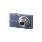 Panasonic LUMIX DMC-FX60 Digital Camera EC-A (12 megapixel, 5x opt. Zoom, 6.9 cm (2.7 inch) display, image stabilizer) Steel Blue (Electronics)