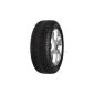GOODYEAR ULTRAGRIP 8 03840308 195/65 R15 91T winter tires (fuel efficiency E, wet grip E; External rolling noise 1 (69 dB))