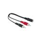 Hama Adapter 2 RCA m / 3.52 mm Jack stereo f 15 cm Black (Personal Computers)