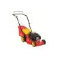 WOLF-Garten Petrol mowers Select 4200, 11A-LO5N650 (tool)