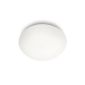 320053116 Philips Ceiling SPA Bathroom Glass White 1 x 20 W (Kitchen)