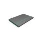 Acer Iconia Tab 10 (A3-A20) Cover mineral gray / blue (accessory)