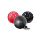 Exercise Ball Deluxe colors: red, black, anthracite Sizes: 45, 55, 65, 75, 85, 95, 105 cm (Misc.)