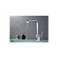 Auralum single lever faucet kitchen faucet single lever mixer sink kitchen Type Selectable (no LED RGB light, Type D)