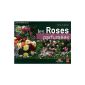 The fragrant roses (Paperback)