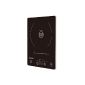Triomph ETF1525 Plate Induction Posable with 1 fireplace Black 28 x 35 x 4 cm (Kitchen)