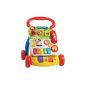 Vtech Baby 80-077074 - play and carriage Special Edition (Baby Product)