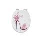 Seat toilet seat decoration high heel with soft-close convenience and Fast Fix 40274 3 (tool)