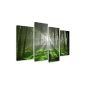 Picture on canvas 130 x 80 cm XXL Model No. 6130 Forest tables for the wall, framed, ready to install, while the images on giant real wood frame.
