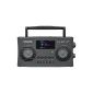 Sangean WFR-29C portable Internet radio (DAB + / FM tuner, USB, UPnP / DMR Music streaming, AUX-In, alarm, dual alarm) anthracite (Electronics)