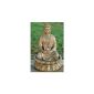 FOUNTAIN BUDDHA Statue 52cm WITH WATER + LIGHT Feng Shui FIGURE