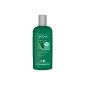 Logona - 1003shacre - Beauty & the Hair - Shampoo Cream Bamboo - 250 ml (Personal Care)