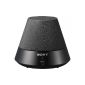 Sony SA-NS300 wireless network speaker DLNA Black (Electronics)
