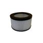 Replacement filter for Ash Vacuum Cleaner with Engine spare (Misc.)