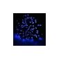 DODOCOOL Neu17m 100 LED Blue Solar spotlights Waterproof LED lights light Christmas Lights for Christmas decoration, outdoor, christmas, party, garden, wedding, Christmas