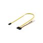 deleyCON 0.5m S-ATA Dual cable 0.5m SATA Data + Power Cable (Electronics)