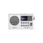 Sangean WFR-28C Internet radio / network audio player / digital receiver DAB + / FM-RDS / USB - White (Electronics)