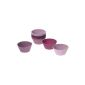 Lurch 85013 Flexiform muffin cups Set of 12, Berry (household goods)