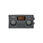 Sangean WFR-29D Wi-Fi Digital Radio (Internet radio, DAB +, FM-RDS, USB, Network Music Player) (Electronics)