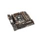 Gryphon Asus Z87 Motherboard Micro ATX Intel Socket 1150 (Accessory)